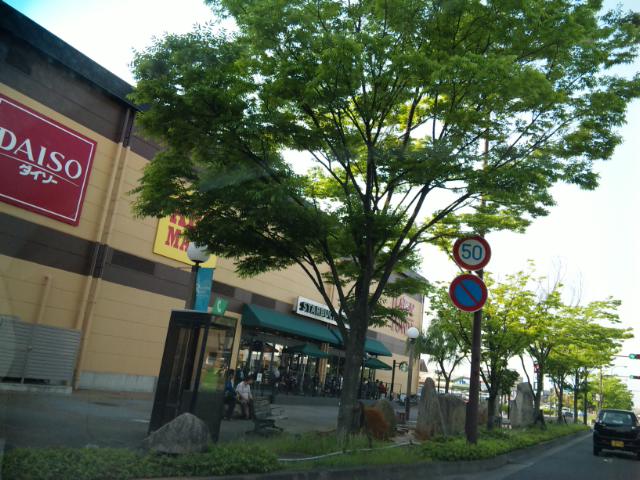 初夏だ！