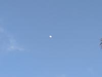 月と自分を比べてみれば。