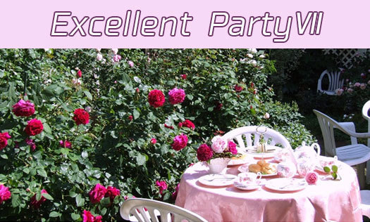 Excellent PartyⅦ