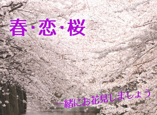 春・恋・桜　一緒にお花見しましょう