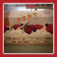長いケーキにニューフェイス！