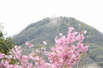 季節は春です　花＊はな　