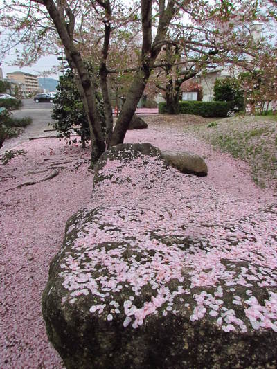 花筵（はなむしろ）　絨毯（じゅうたん）　桜花が　散り急いで　