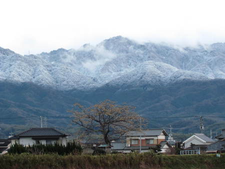 いつもの風景が変です　　　　　　　　さぬき市長尾