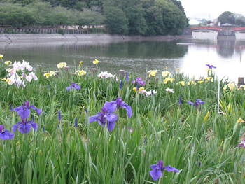 きかく公園には　ちょくちょく　ゆきます