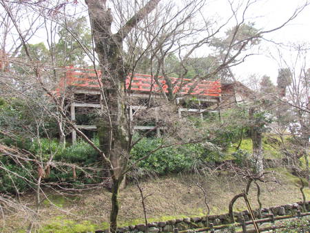梅の名所 北野天満宮       梅林と御土居    京都にて