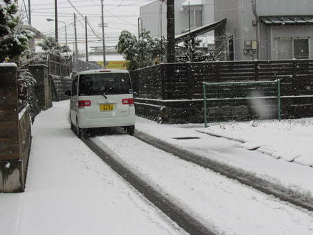 雪　　やっぱり雪です　　　　　