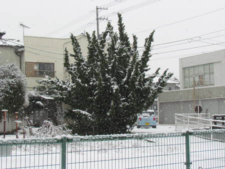 雪　　やっぱり雪です　　　　　