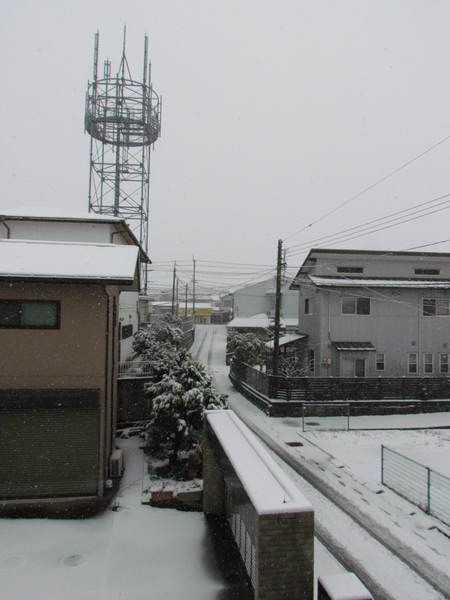 雪の中　また雪です　