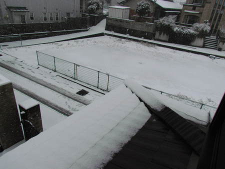 雪の中　また雪です　