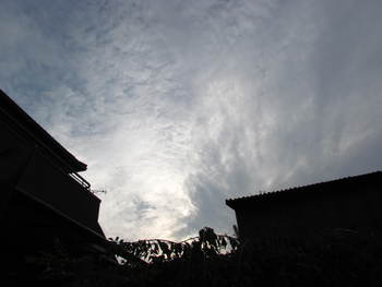 朝の空　　さぬき市　自宅