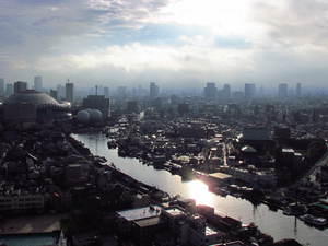 日の出の風景　　京セラドームを望む(大阪市内）