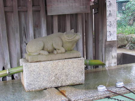 梅の花 京都北野天満宮   牛は境内なら普通に見られる