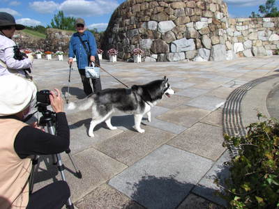であった犬　　　