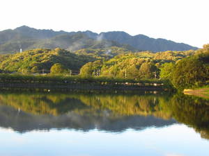 日の出の風景　　　さぬき市にて