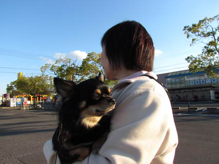 すまし顔の　わんこ　　上手に甘えて・・　　うどん県三木町にて