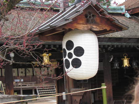 梅の花　京都北野天満宮　　受験生は裏表に参拝