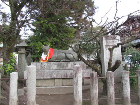 梅の花　京都北野天満宮　　受験生は裏表に参拝