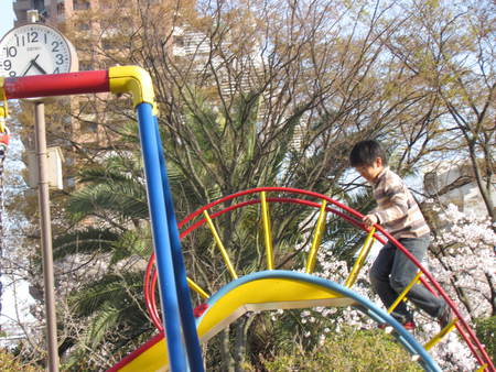 サクラ花と子供の遊ぶ公園　　　おおさかにて