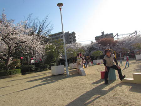 サクラ花と子供の遊ぶ公園　　　おおさかにて