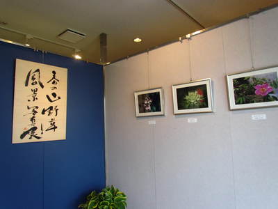 山野草と風景写真展　　21世紀館さんがわ　　さぬき市
