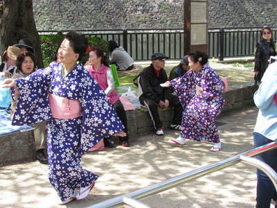 サクラの木の下で　　　　　大阪城公園にて