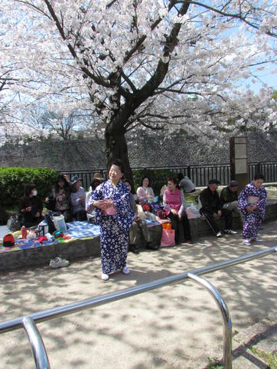 サクラの木の下で　　　　　大阪城公園にて