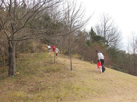 恐竜の森　太古の森　　　　　　　うどん県三木町
