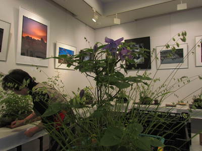 21世紀さんがわ　山野草展終了　さぬき市にて