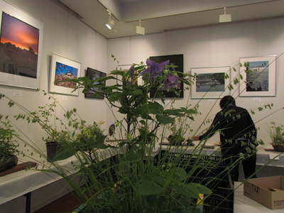 21世紀さんがわ　山野草展終了　さぬき市にて