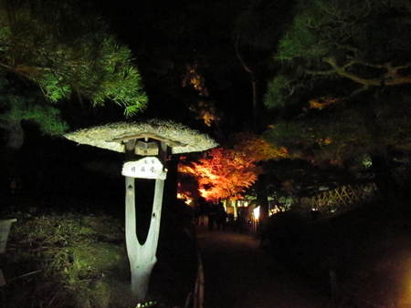 ライトアップ　小さな紅葉＆小さな屋根　　うどん県高松市