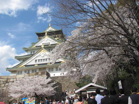 サクラと大阪城　　　　　　　　　