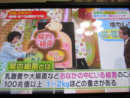 糖尿病体質改善　NHK　ためしてがってん
