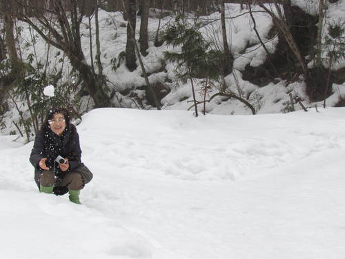 雪の風景　寒くて冷たい小旅行