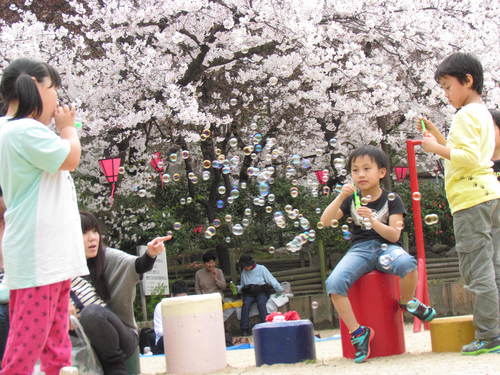 お花見み・・小さい公園　　　　　　おおさかにて　　　　