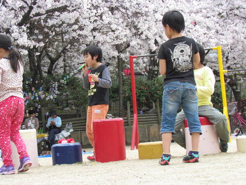 シャボン玉　＆公園のお花