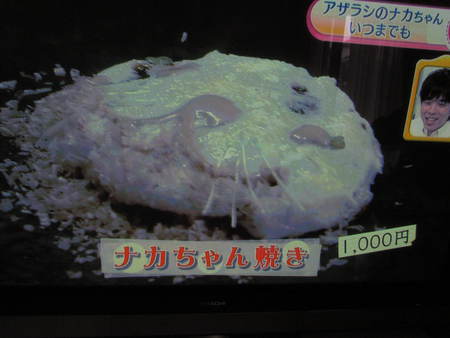 アザラシの なかちゃん  徳島              NHKあさいち
