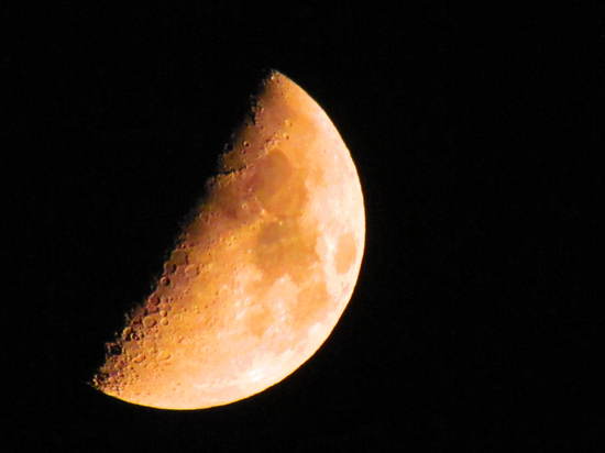 昨夜の半月（上弦の月）　　　　　　　　　　　　自宅　　　