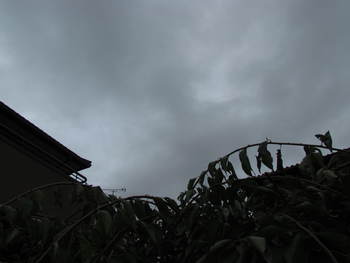 台風が行き過ぎて　再び　全天曇りです　さぬき市８７番長尾寺