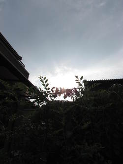 相変わらない朝です・・自宅