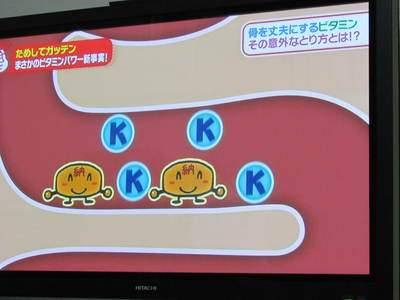 ビタミンC　B1　Kの話　ためしてがってん　NHK