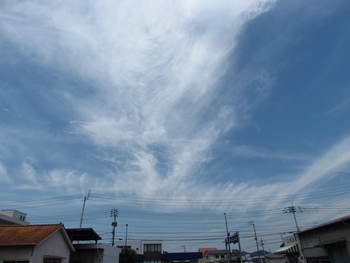 お昼の雲　今日の空は安心です