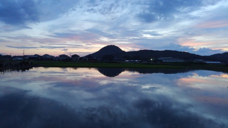 今日の夕焼け小焼け　良く焼けました