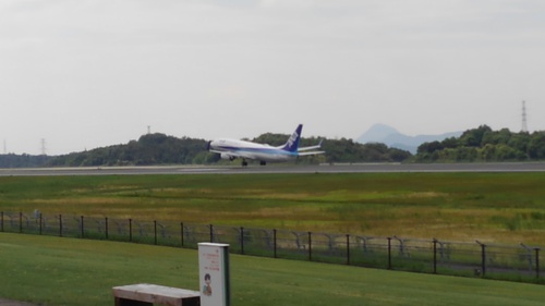 飛行機の写真ばかり　