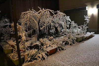 21時ごろ雪の風景　さぬき市長尾西　　自宅周辺
