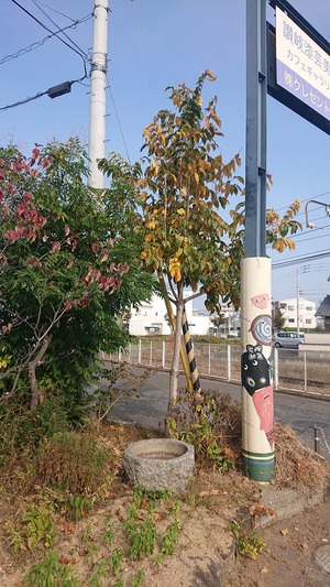 讃岐漆芸美術館の秋4