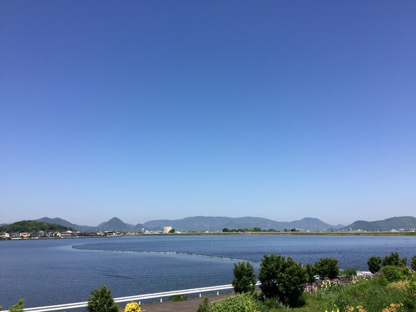 広がる青空に新緑が眩しい