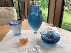 不思議な青いお茶！色の変化を楽しむ！