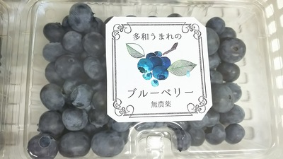 ブルーベリー初荷
