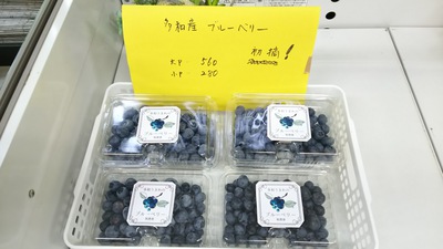 ブルーベリー初荷